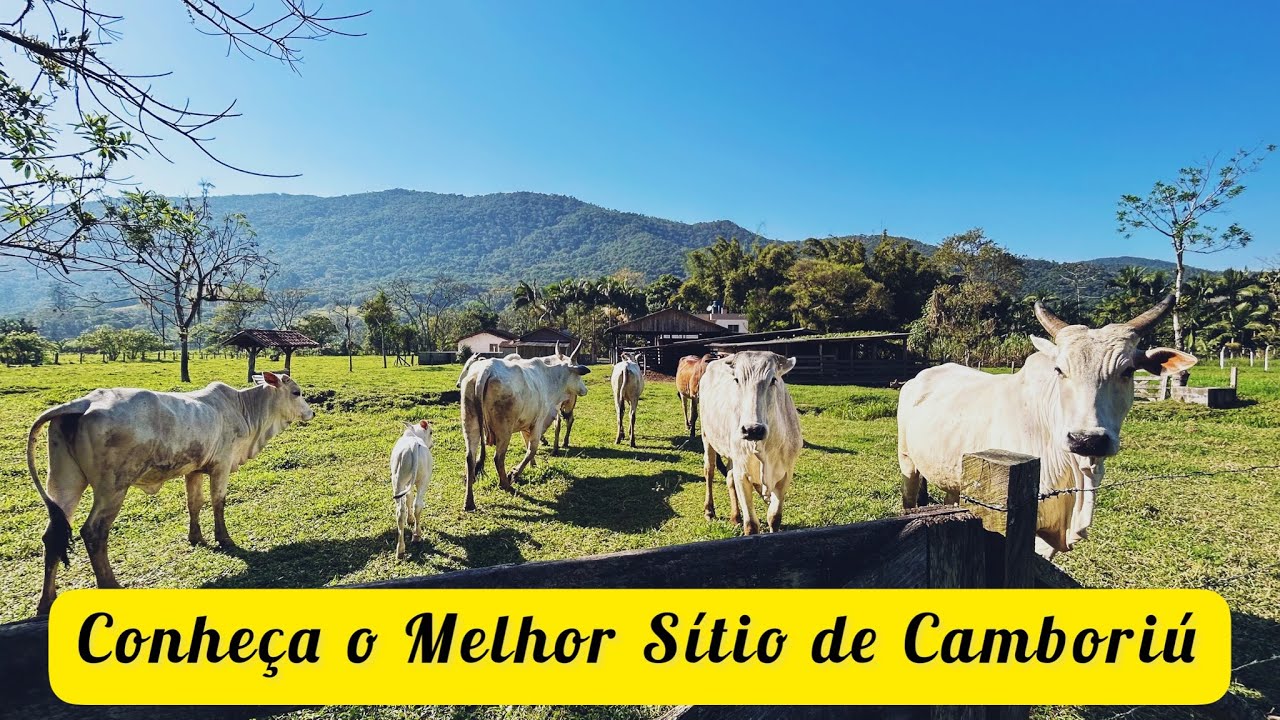 Melhor Sítio de Camboriú está à Venda de Porteira Fechada