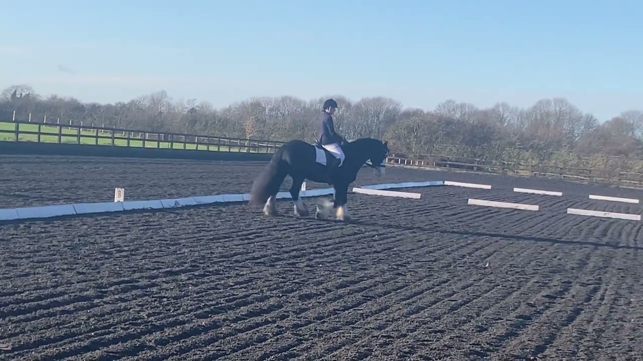 Nancy Cook Dressage 14/12/2024