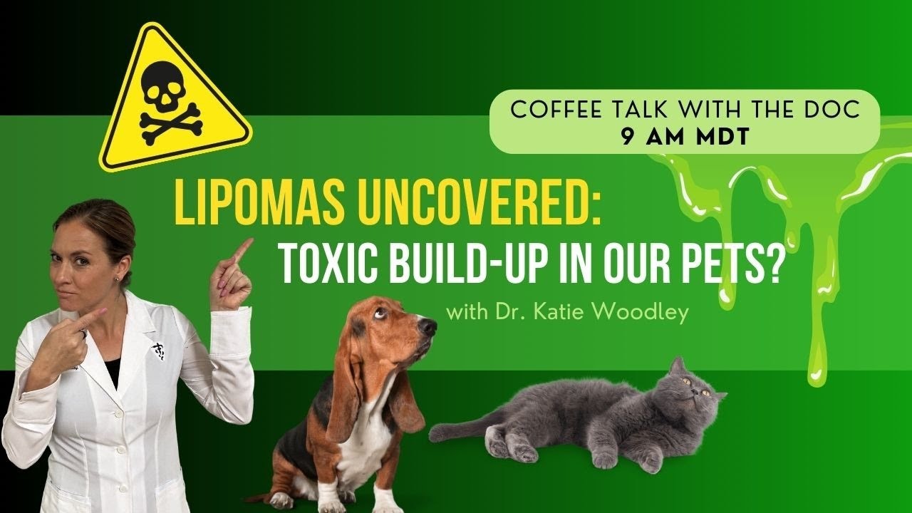 Lipomas Uncovered: Toxic Build-up In Pets?