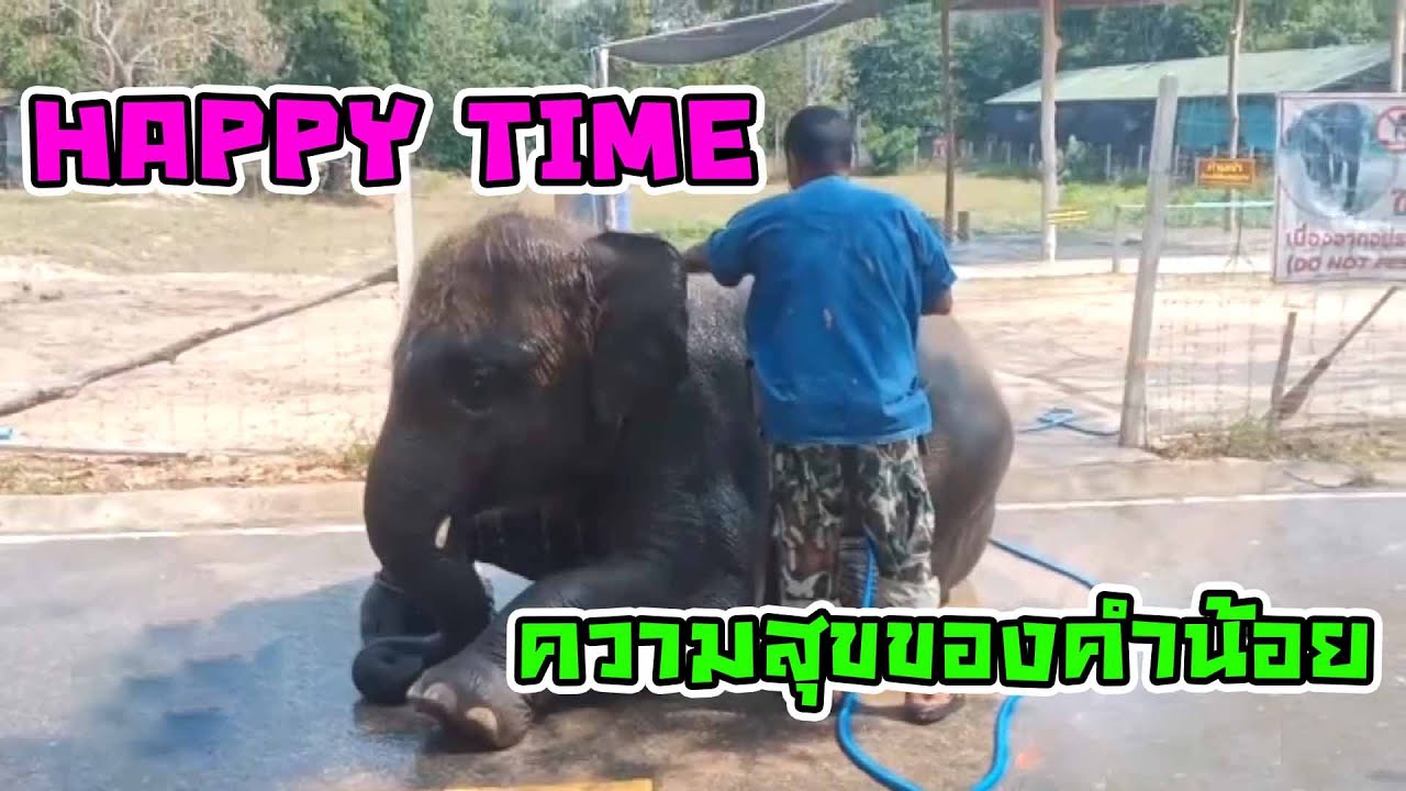 ช่วงเวลาดีๆที่มีความสุขมากของ 