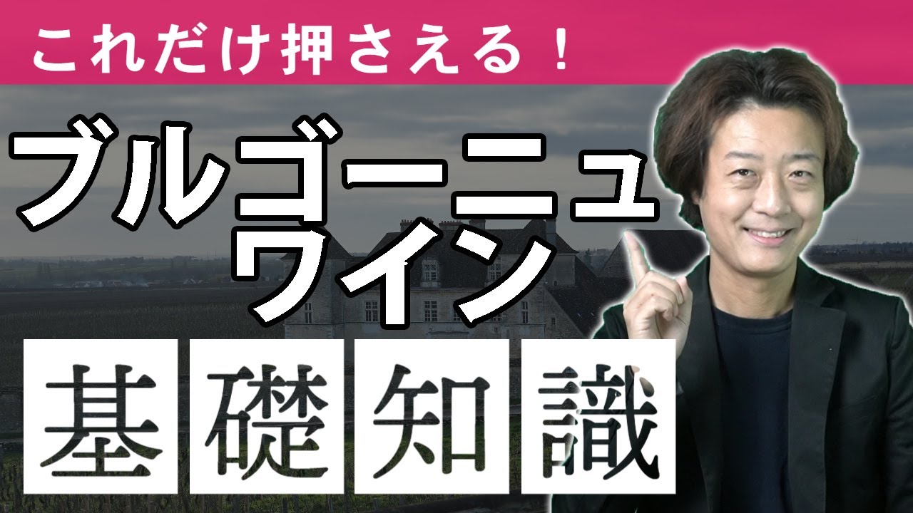 【これだけで脱初心者】ブルゴーニュワインの基礎知識