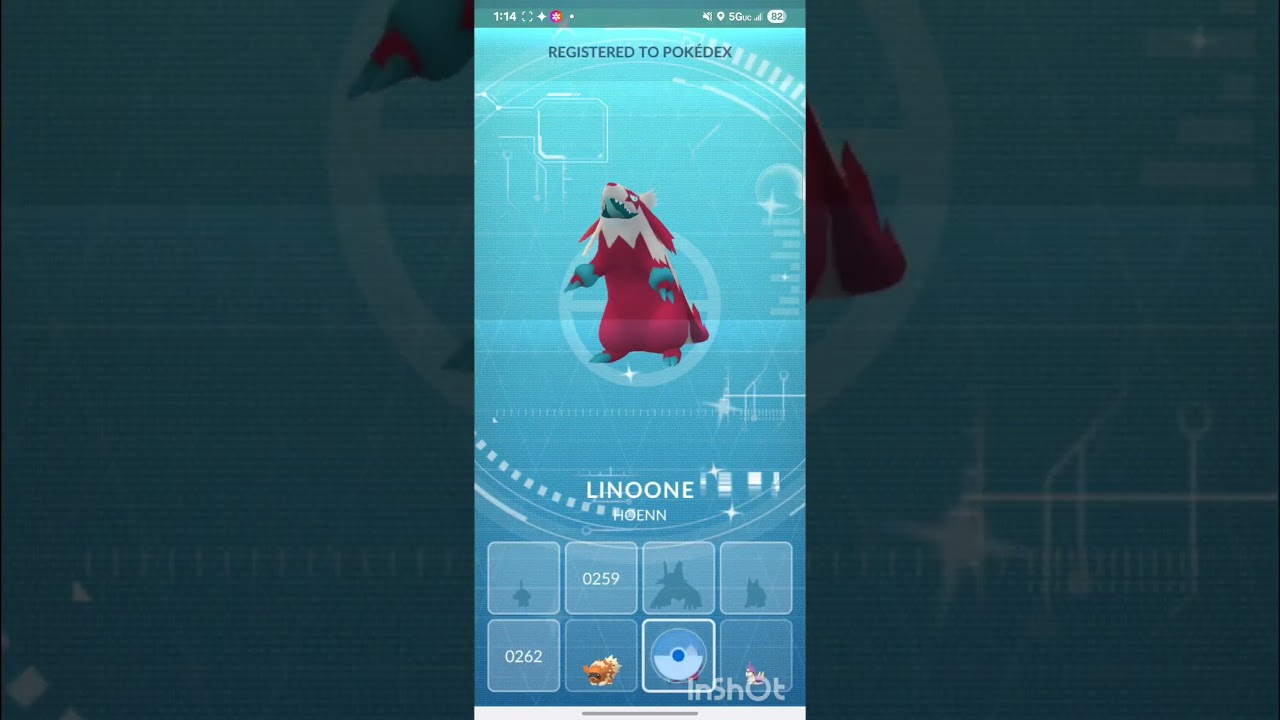 Shiny Zigzagoon evolution #shinypokemon #pokemon #pokemongo