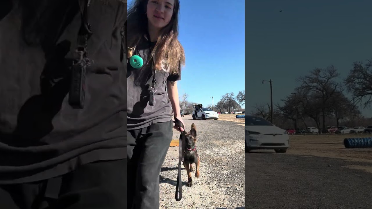 Cricket heeling and COP at club 