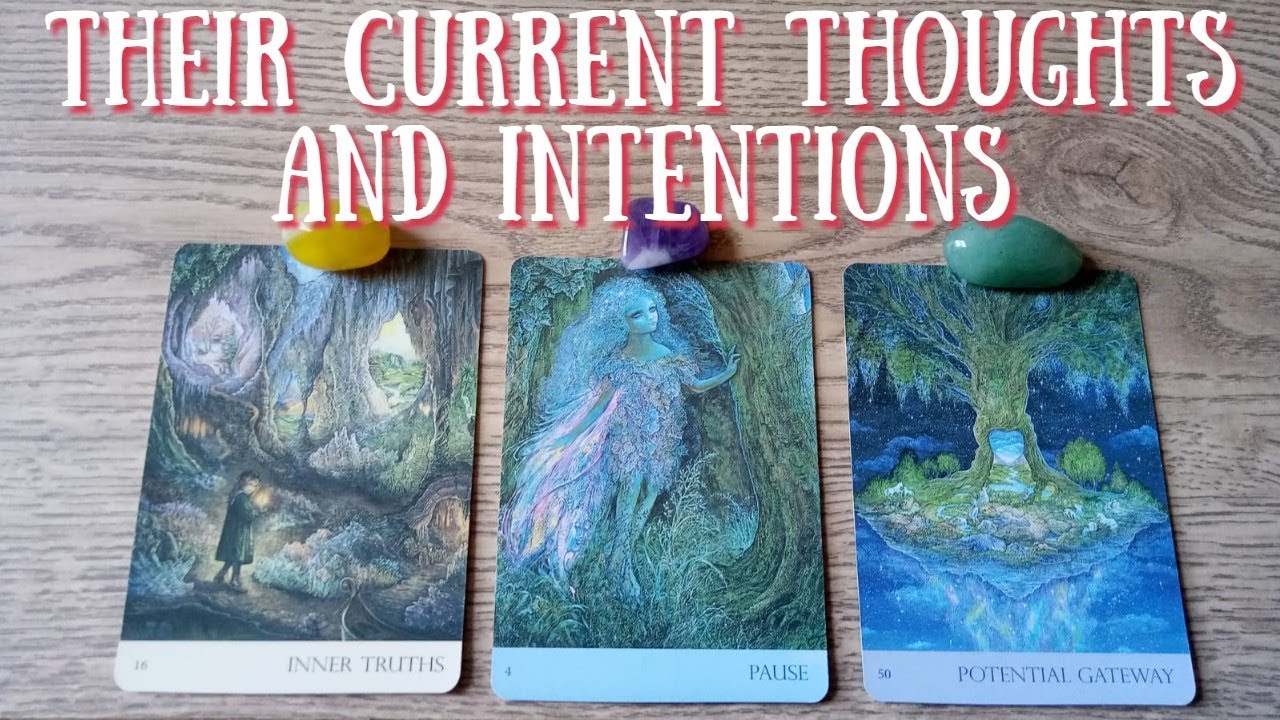 😍WHAT  Are Their Current Thoughts and Intentions About You ? 🤩Pick a Card : 🦋Timeless Tarot🦋