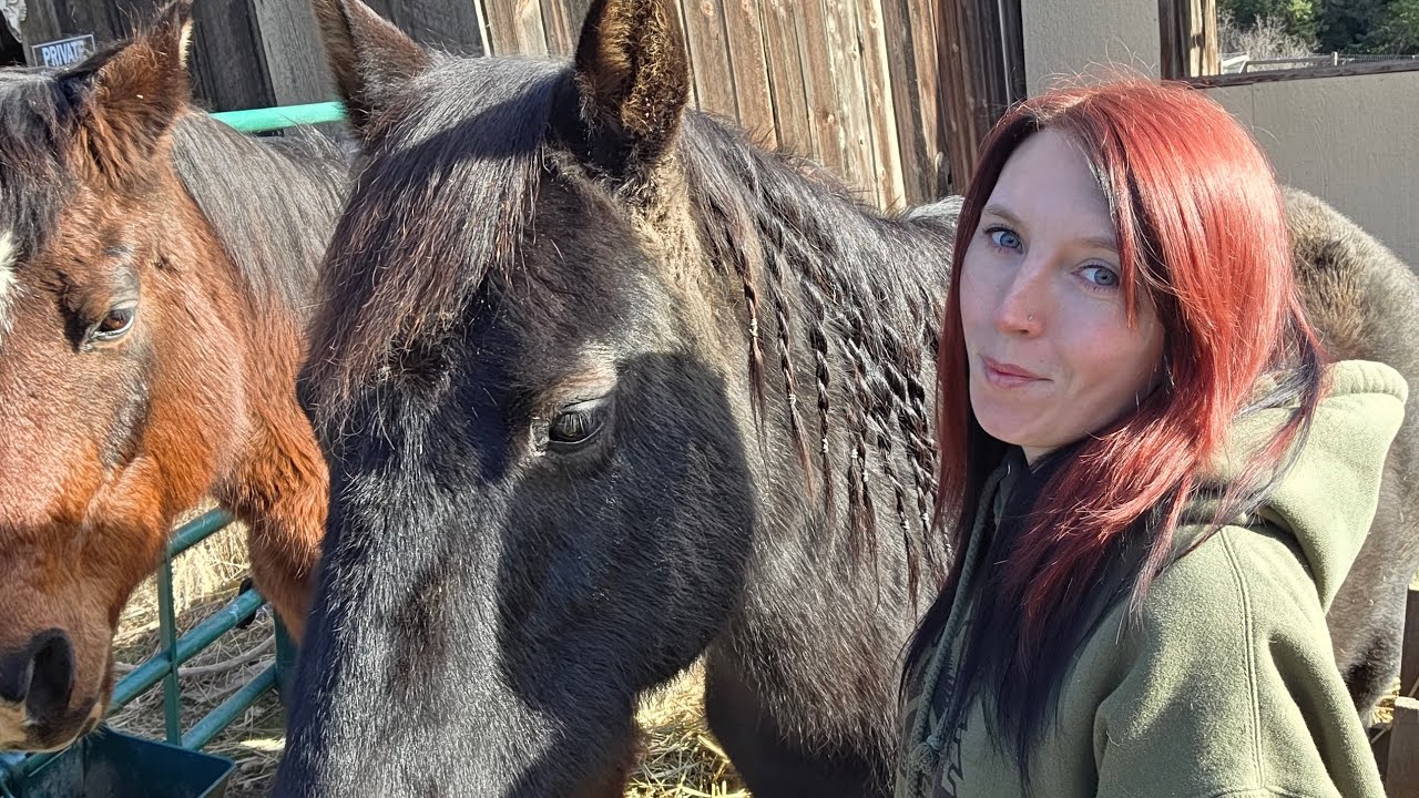 Come Hang Out With My Horses | Cozy Farm Vlog