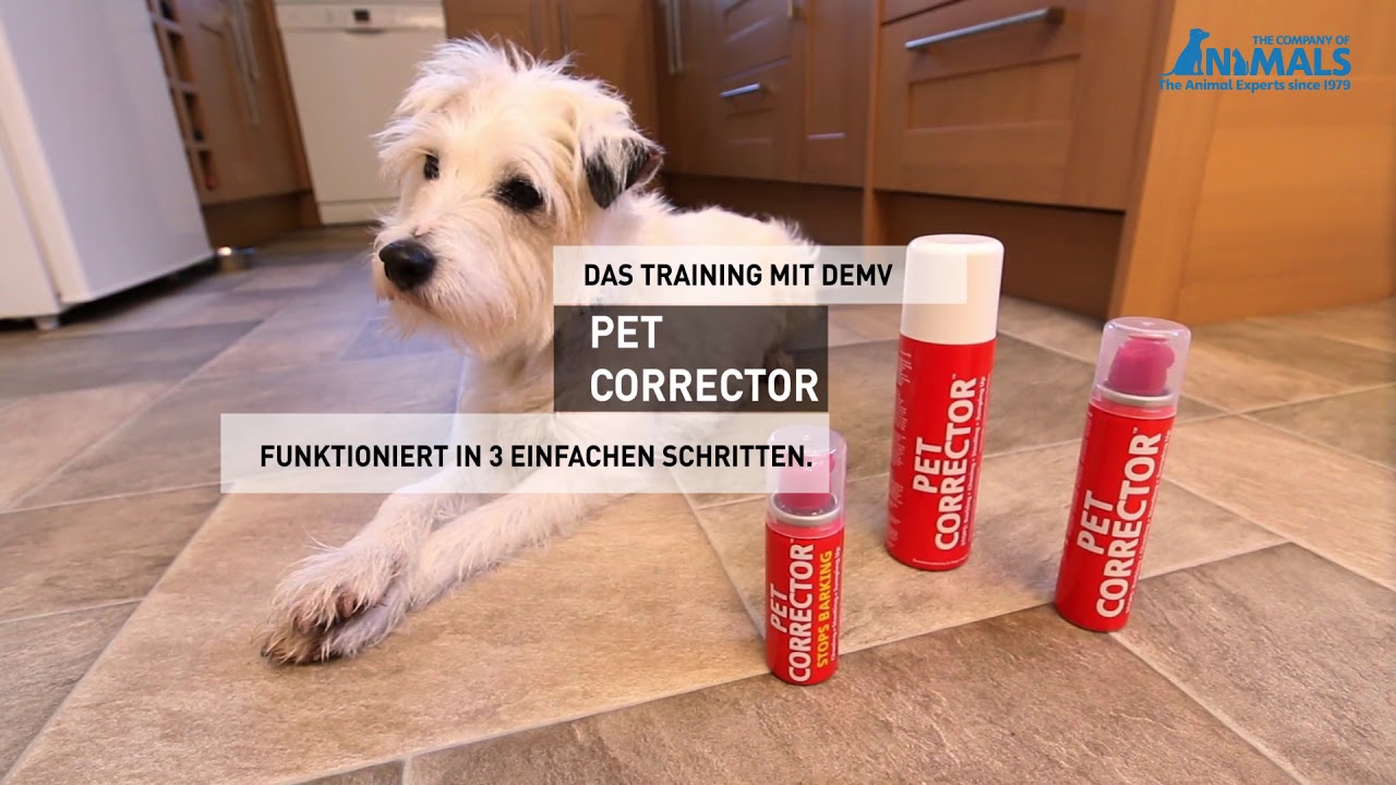 Verbessern Sie das Benehmen Ihres Hundes mit Pet Corrector