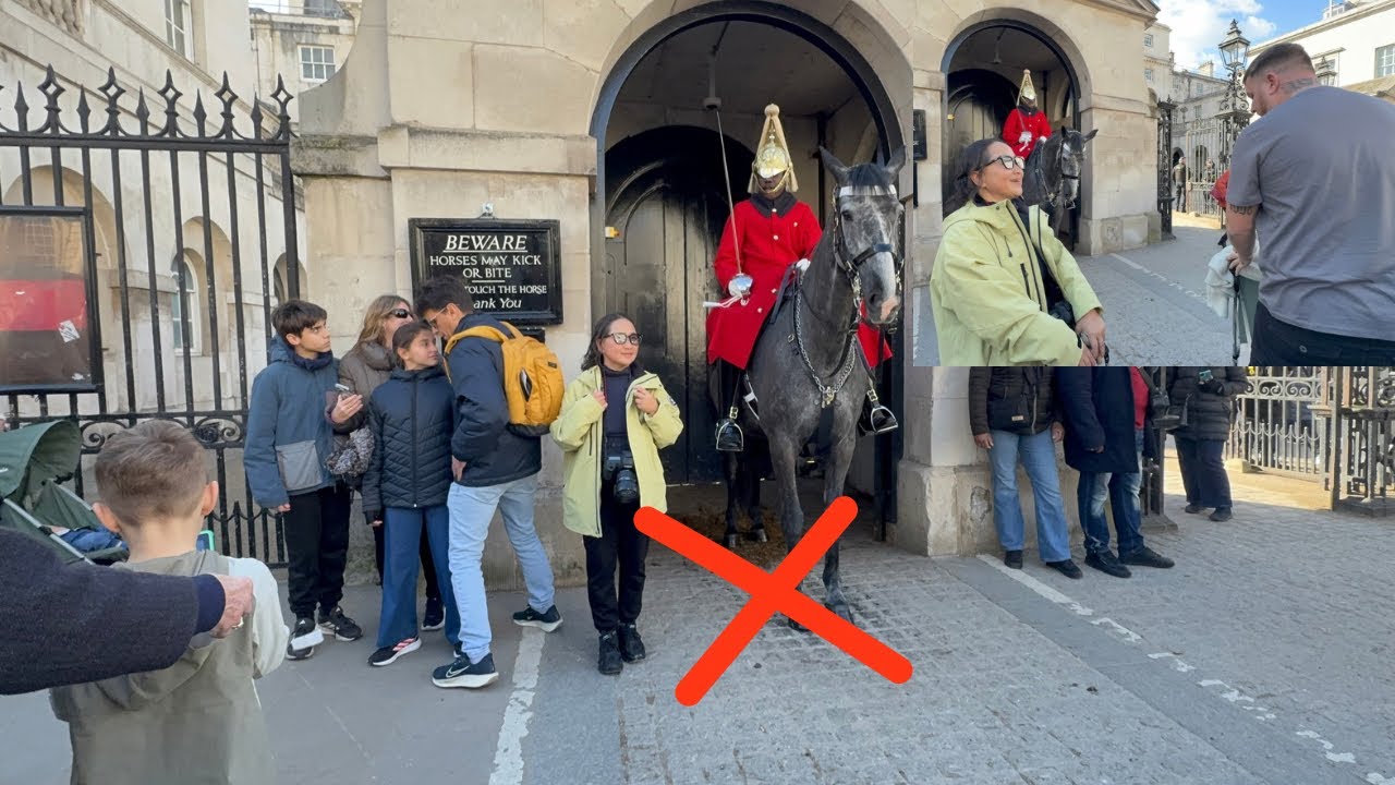 Chinese Tourist Goes Wild in Horse Guard Box 😡 Public Shouts at Them!