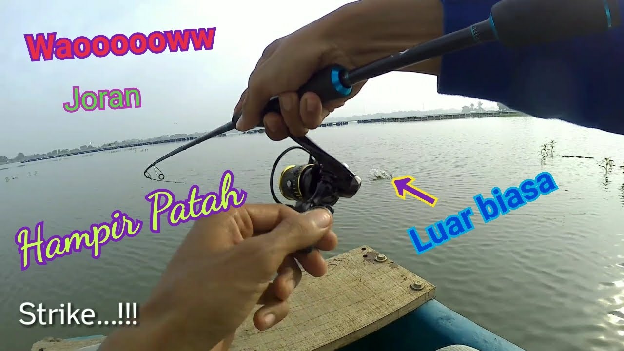 Mancing tepat disarang ikan Toman