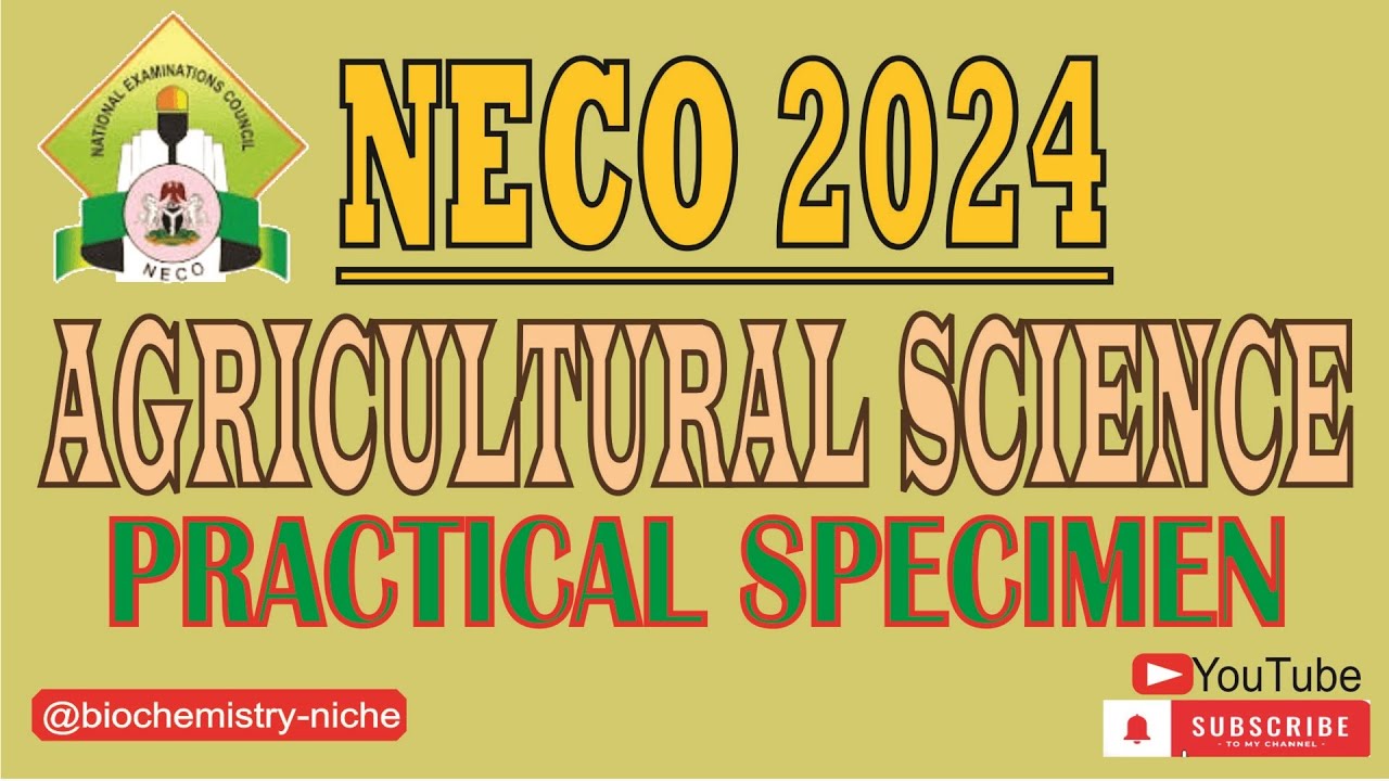 NECO 2024 AGRICULTURAL SCIENCE   PRACTICAL SPECIMENS