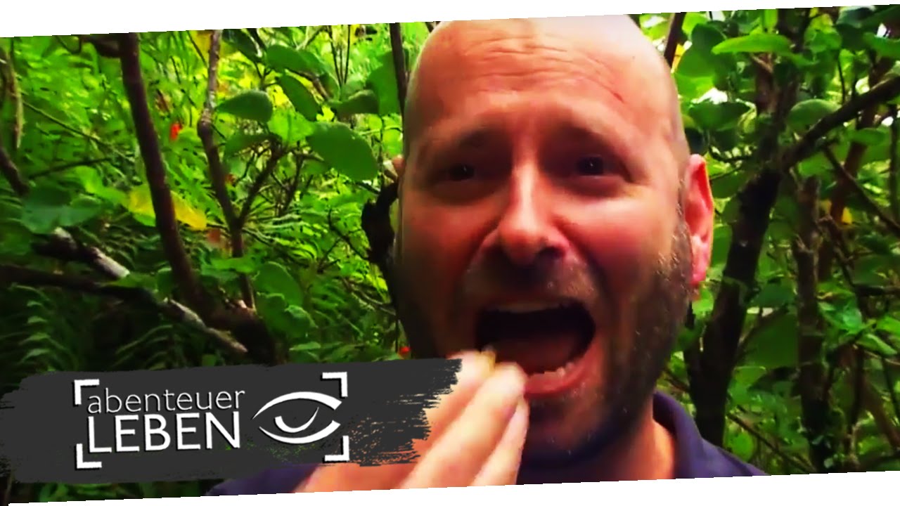 Food Finder: La Réunion - Hähnchen, Fisch und Wespen | Abenteuer Leben | kabel eins