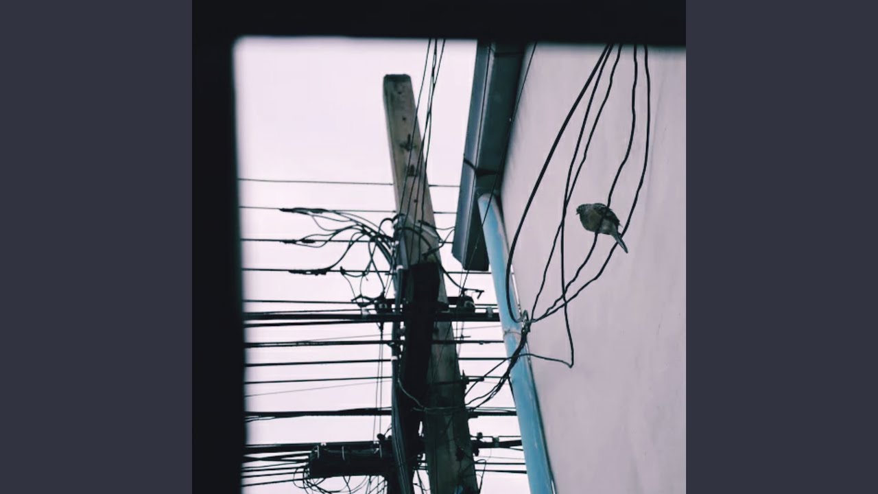 คืนฝนซาในเดือนพฤศจิกายน