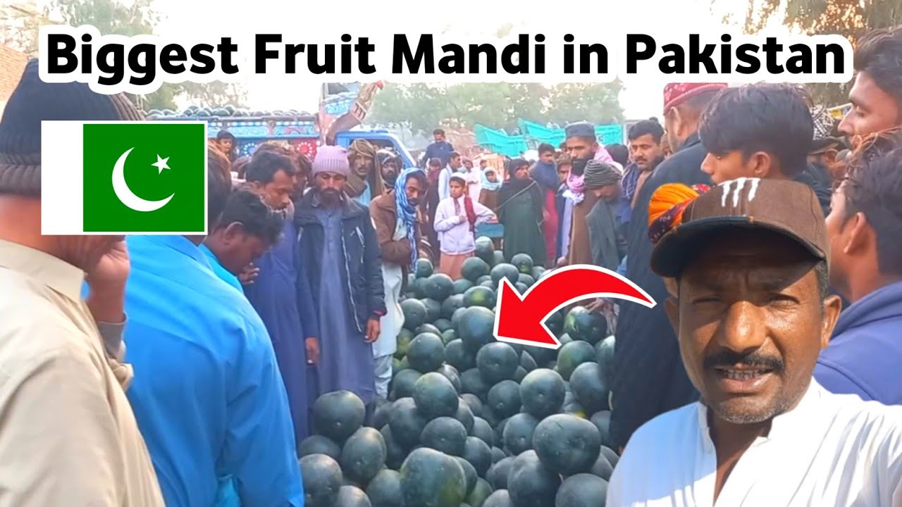 Biggest Fruit Mandi in Pakistan 🇵🇰 || Hemraj Vlogs 