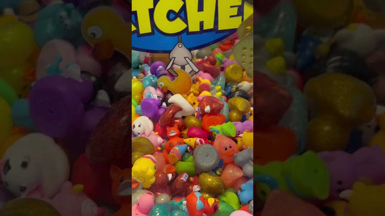 Duck Catcher Claw Machine Win #1