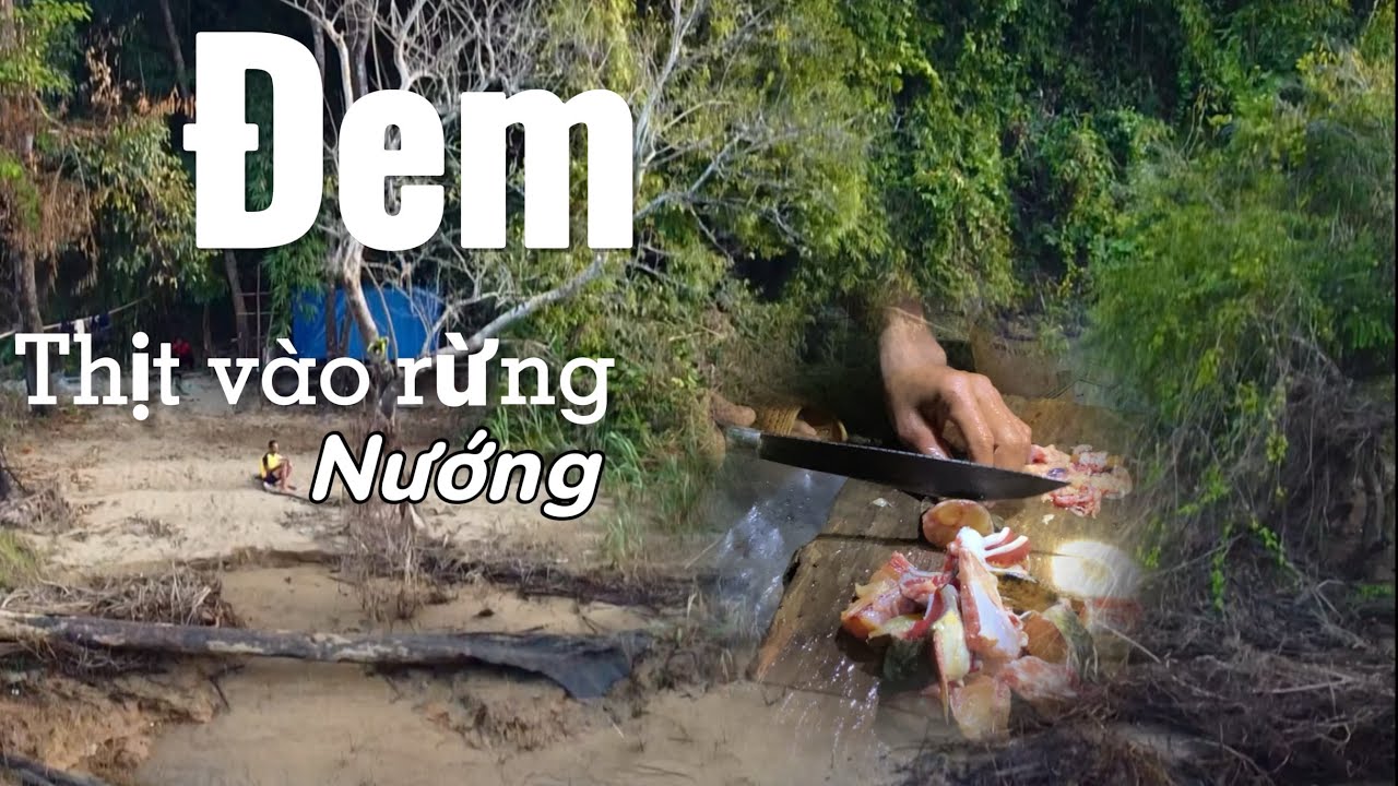 Thiên93vlog |Mang thịt xuống sông nướng - Thịt cá lăng đá ngon quá