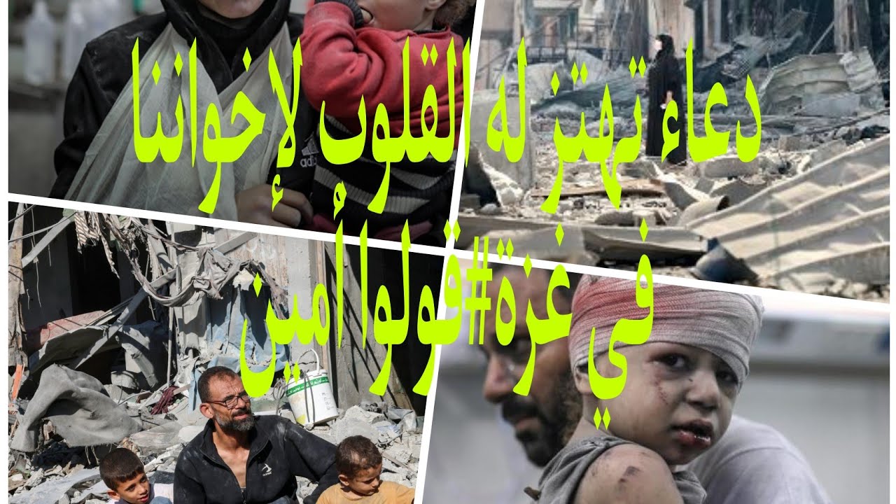 دعاء خاشع تهتز له القلوب لأهلنا في غزة #🇩🇿🇵🇸🩸💧#اللهم صخر لهم جنود السماء🤲🏼