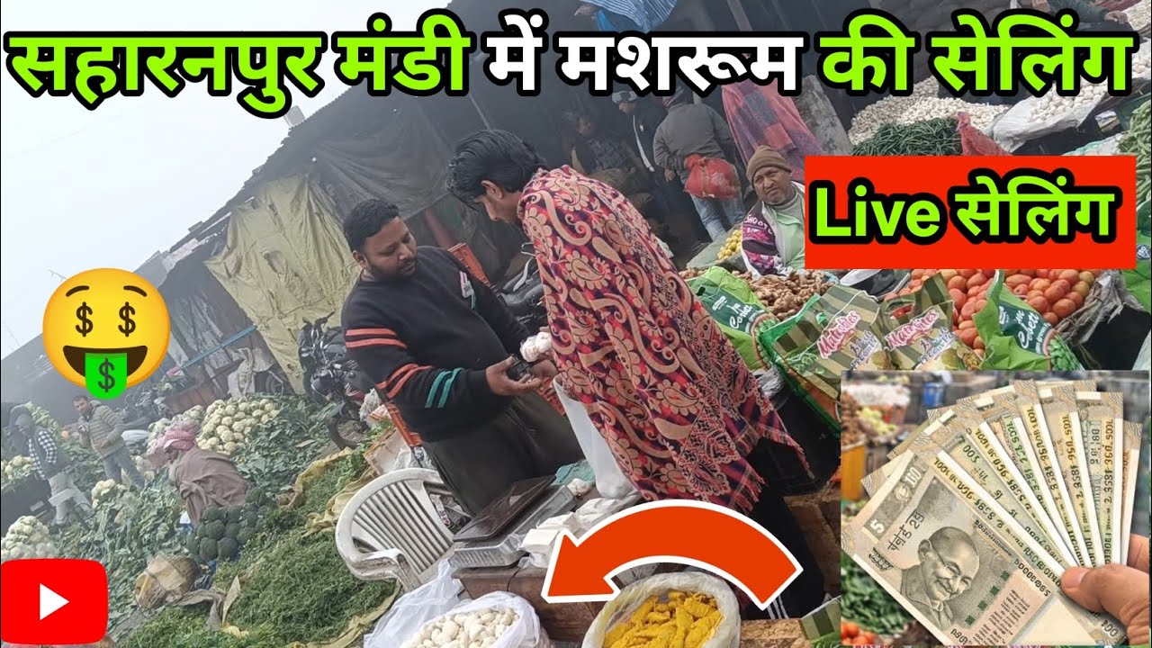 मंडी में मशरूम बेचकर कितनी कमाई हो गई? 😲 Live saling 🍄‍🟫#a1organicfarming 