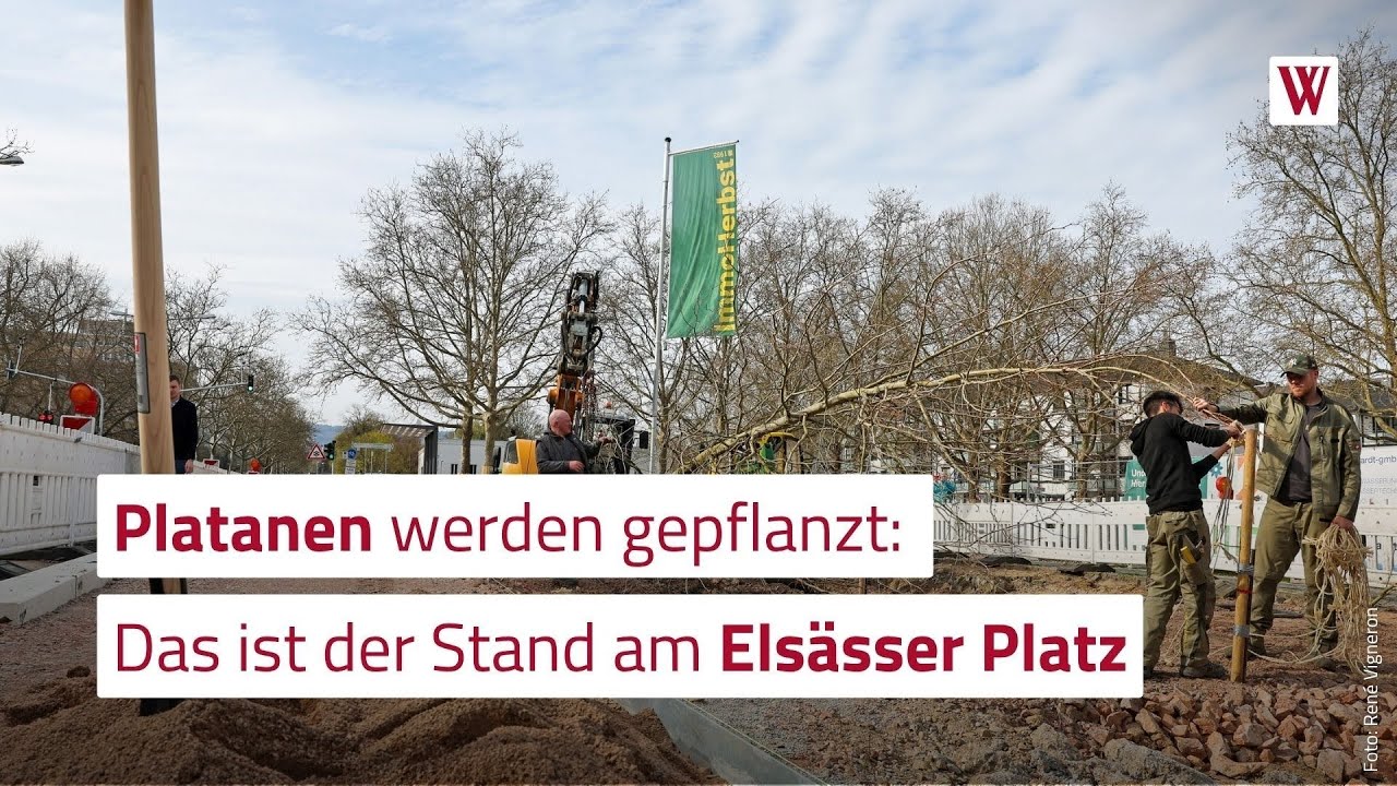So ist der Stand am Els&auml;sser Platz