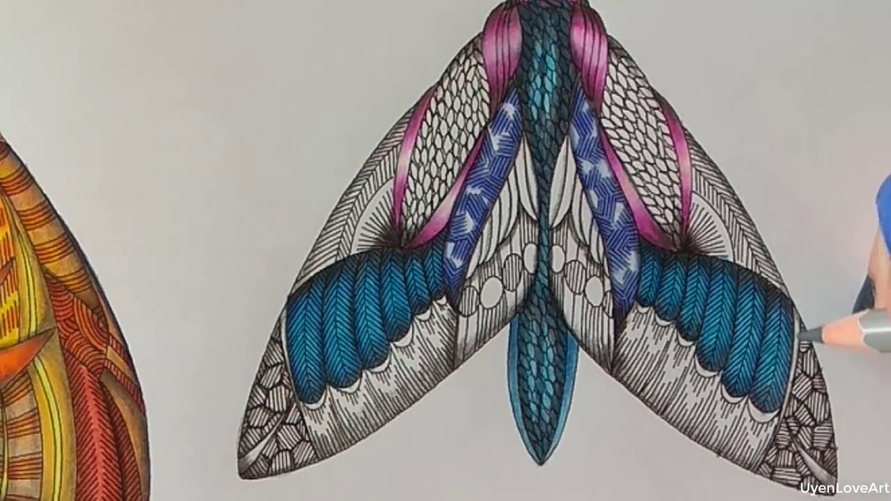 Coloring Part 3/4 | NIGHT BUTTERFLY COMBO| Millie Marotta's Animal Kingdom Book  | Page8