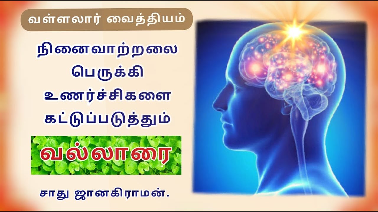 காயசித்தி மூலிகை வல்லாரை | வள்ளலார் வைத்தியம் | Vallalar Vaithiyam | Vallalarai centella asiatica