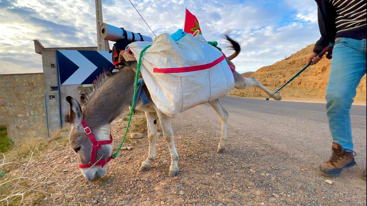 #VLOG49 |  من قرية تيمولا 😍إلى مركز ايت هاني . ضربة قاضية من عند الحمار الوفي (خوان) 😂🐴