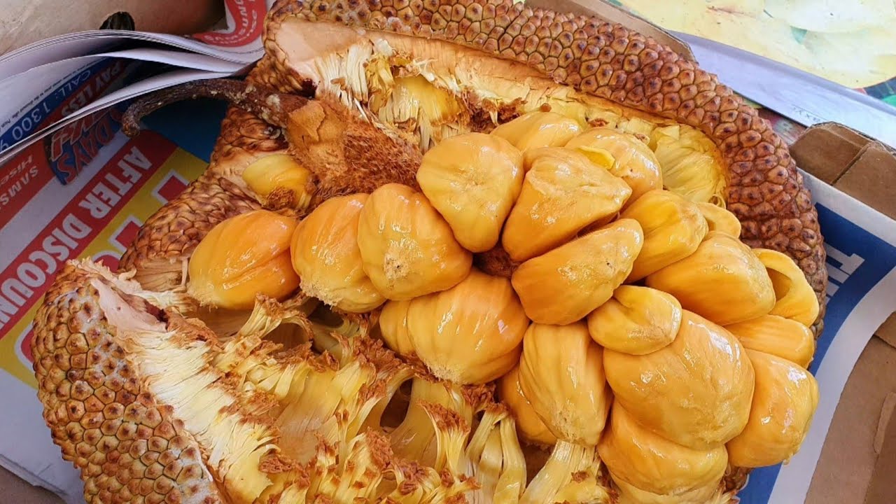 We Scored Chempedak! Better Than SEX Fruit?