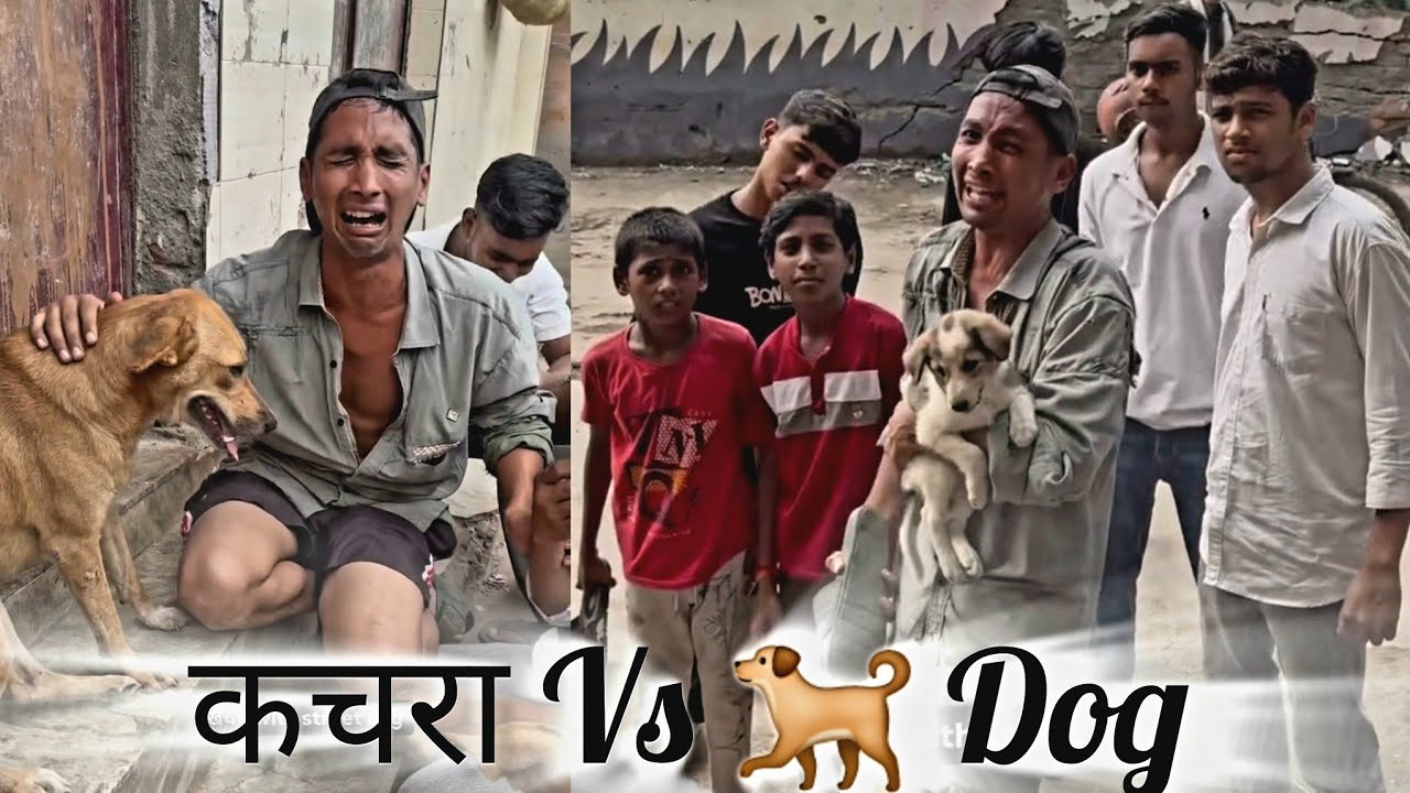 कचरा vs Dog. 🐕 aman sharma comedy video #comedy #viralvideo #treendingvideo #amansharmavines #comedy