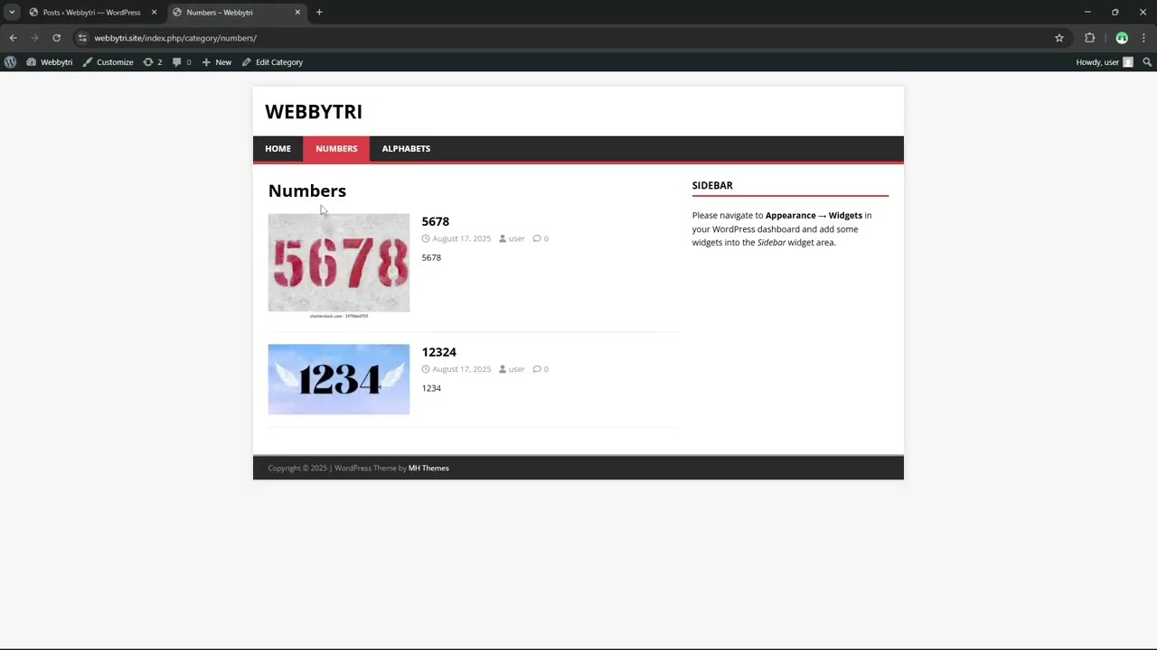 How to Create Parent Category & Subcategory in WordPress | Full Step-by-Step Guide