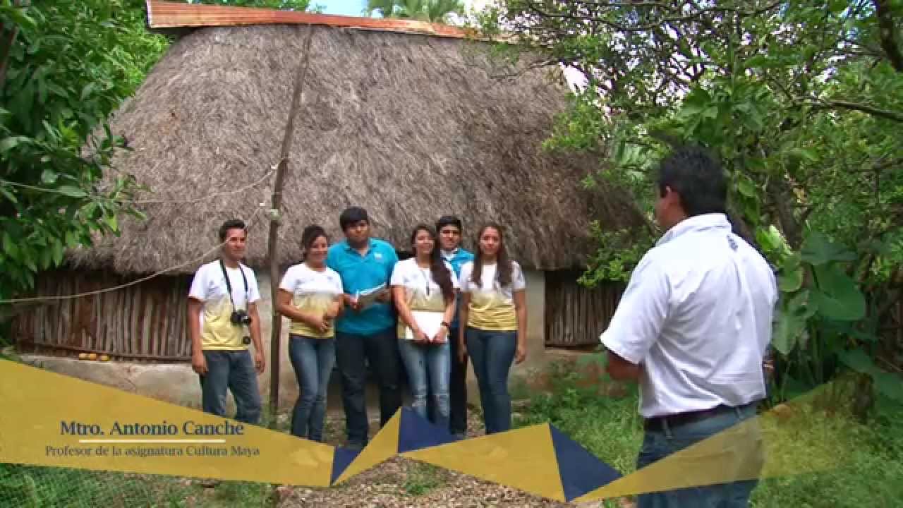 Identidad institucional UADY