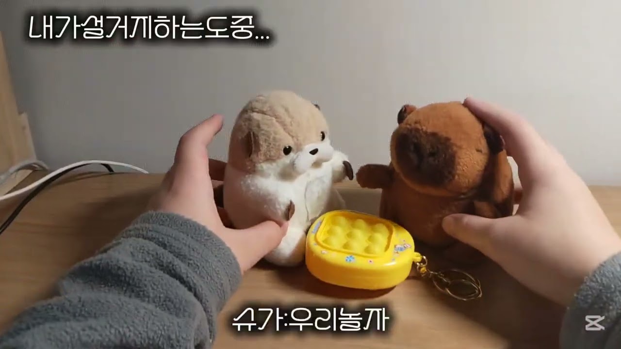 카슈네급식먹기