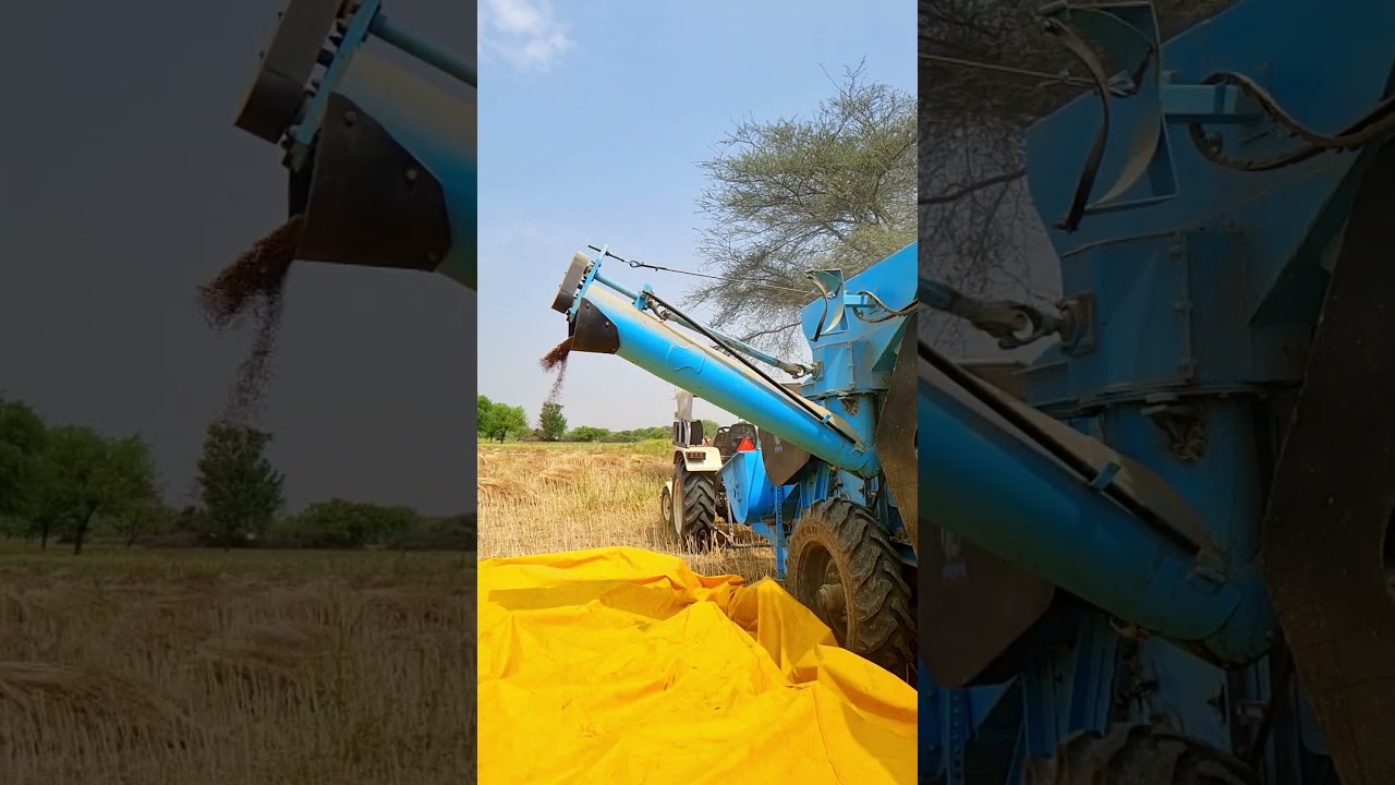Punni Multi Crop Thresher | Thresher Price 2024 #agriculture #machinery #shorts