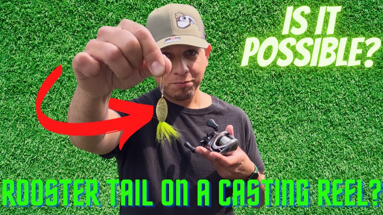 BANK BFS FISHING! MULTIPLE SPECIES! ( Shimano Scorpion BFS XG )