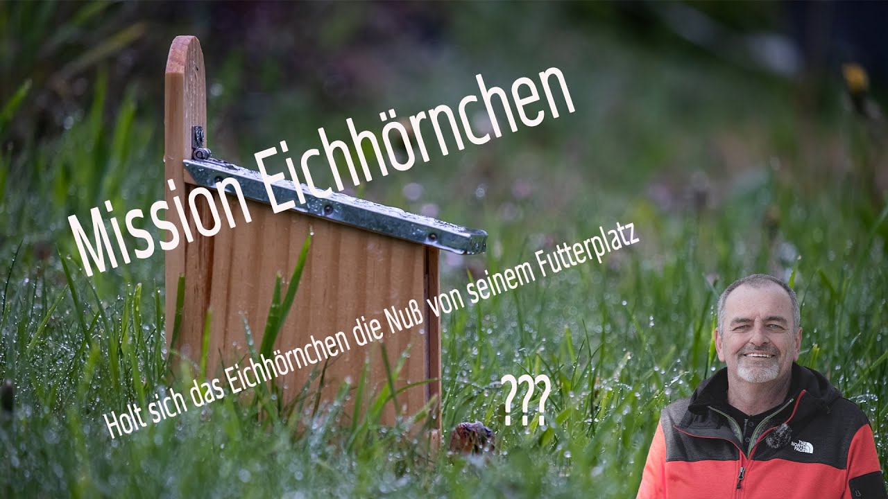Mit der Fujifilm X-S10 auf Mission Eichhörnchen! Holt sich das Eichhörnchen die Nuss vom Futterplatz