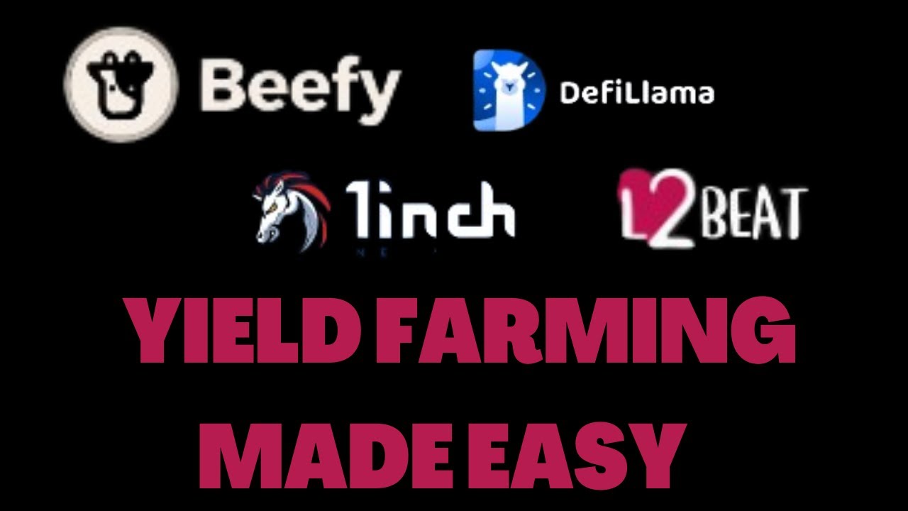 BEEFY FINANCE x BASE MAINNET - YIELD FARMING MADE EASY | CRYPTO DEFI 2023