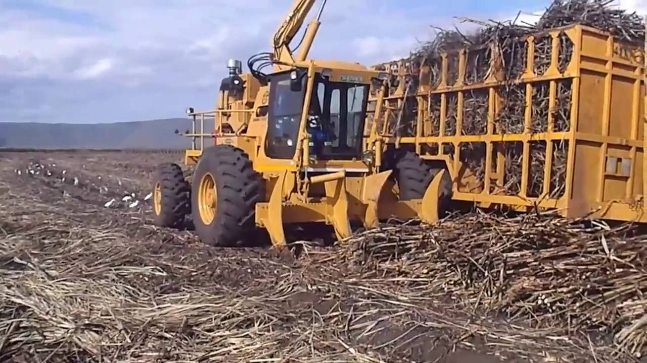 Game Equipment's 4700LX Sugar Cane Loader