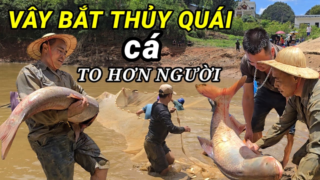 Tháo cạn hồ trên núi cả làng kéo nhau giăng lưới săn thủy quái to hơn người | CVC - Chao Vlog Team
