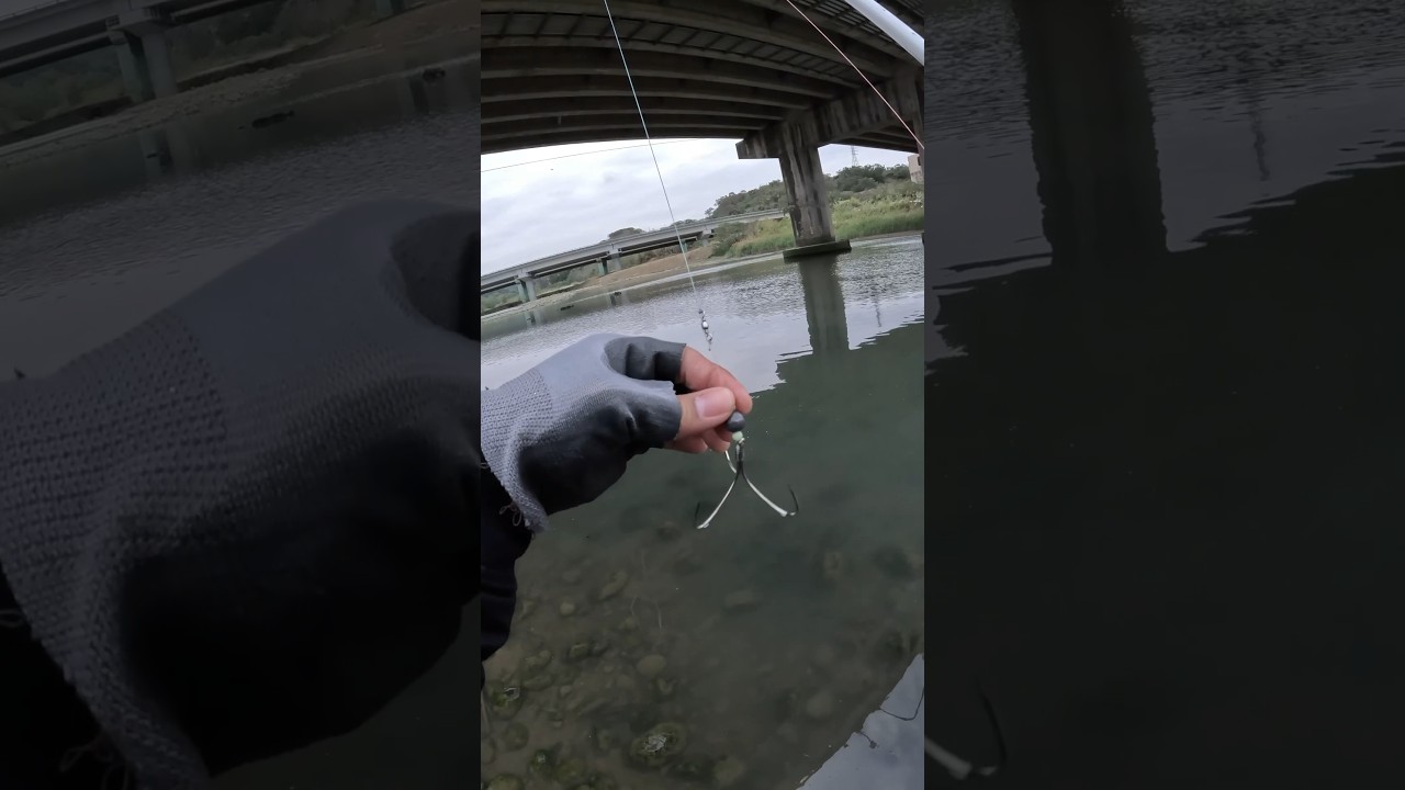 CATCHiNG MULLET FiSH USiNG TREBLE HOOK🇹🇼👌💯