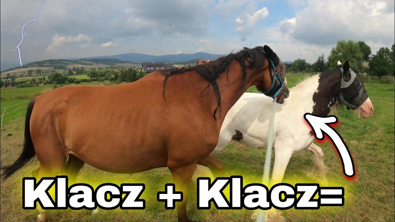 Wakacyjny vlog jeździecki #2