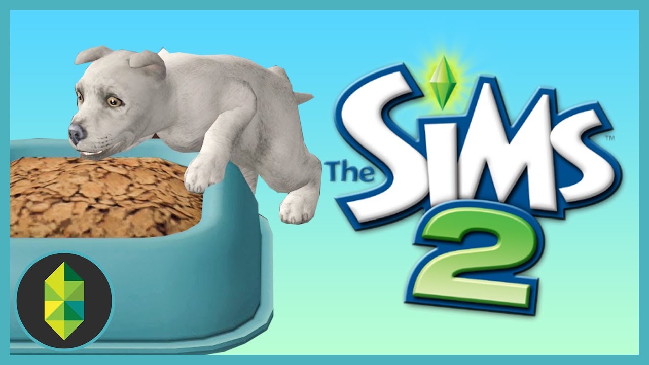 We have a Kitten and a Puppy (Sims 2)