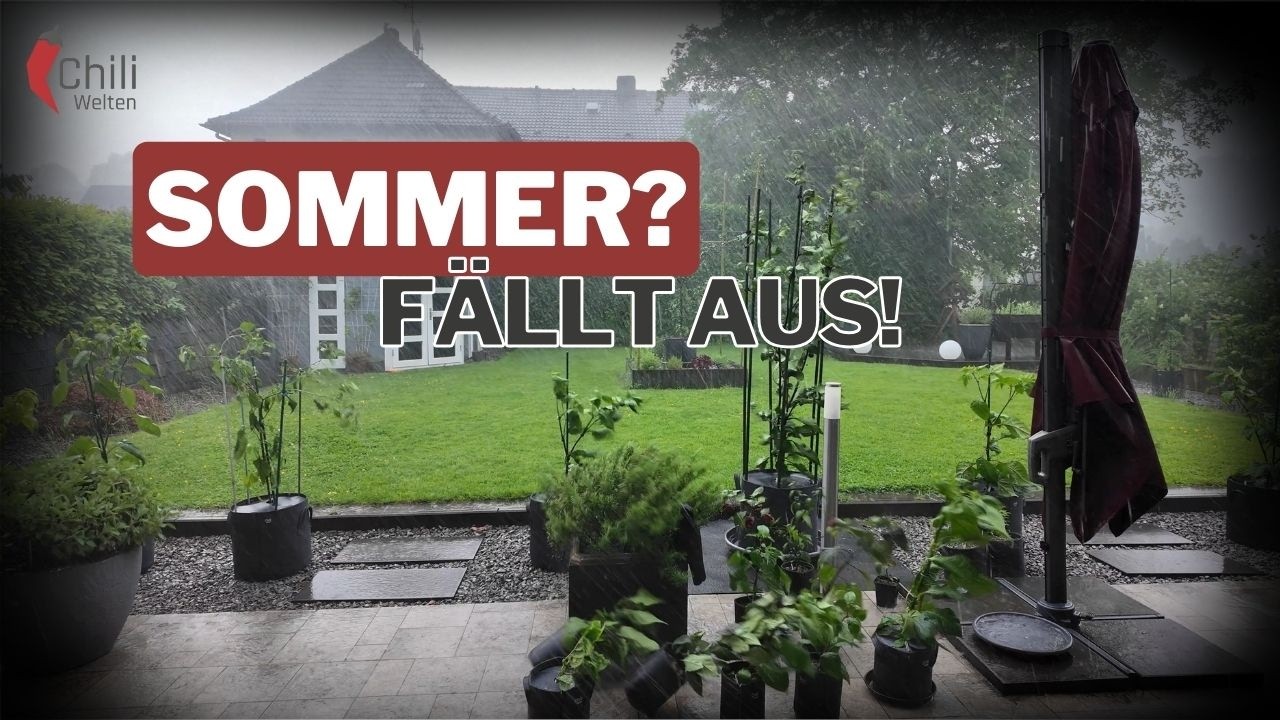 Der endlose April zerstört meine Pflanzen - Saison 2024 #14