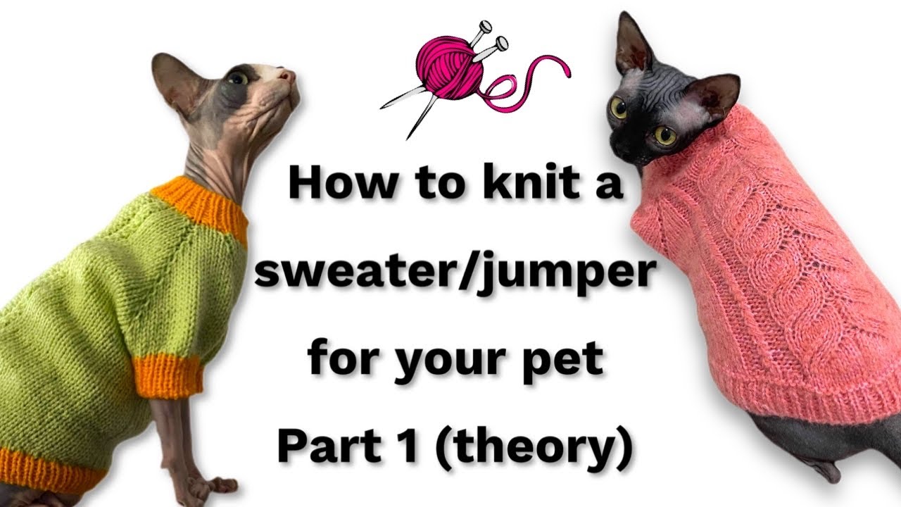 How to knit pet sweater /jumper / - part1 | Theory | Principle | Knitting Tutorial