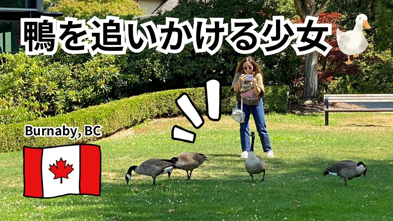 【T-VLOG】日本人が多く住むバンクーバーの街バーナビーを探索してみた🇨🇦🇯🇵