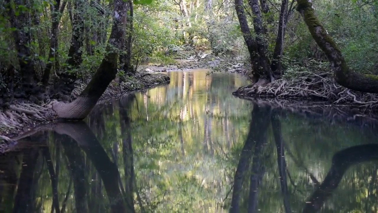 Desfiladero del r&iacute;o Rudr&oacute;n.Los ca&ntilde;ones del Ebro y Rudr&oacute;n. Cap 25. Actividad.