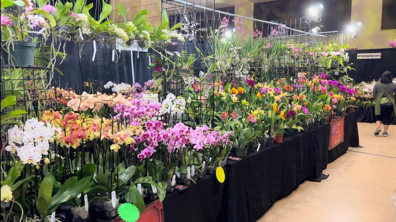 Nature Nel is live at Ft. Lauderdale Orchid Society Show “ORCHID JUNGLE”