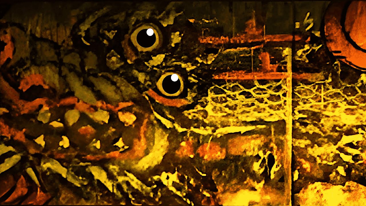 Majora's Mask - Asian Cultural References