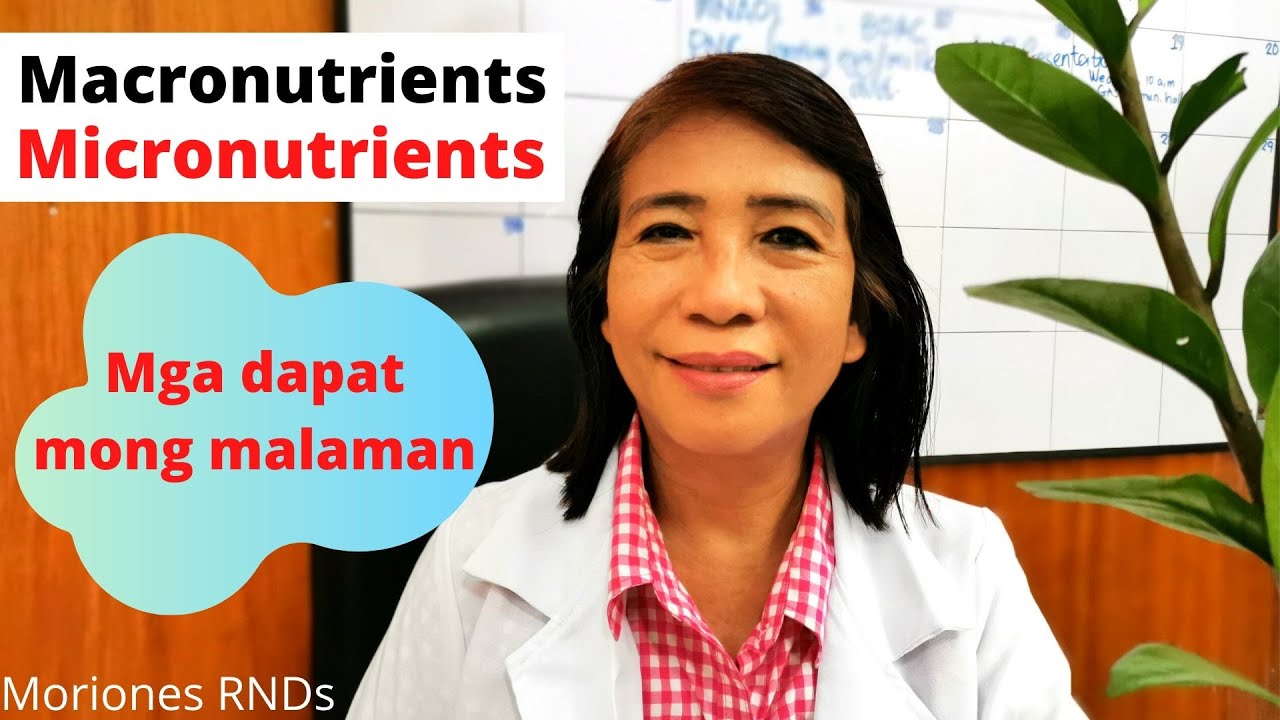 Mga Sustansyang Makukuha sa Pagkain I Moriones RNDs