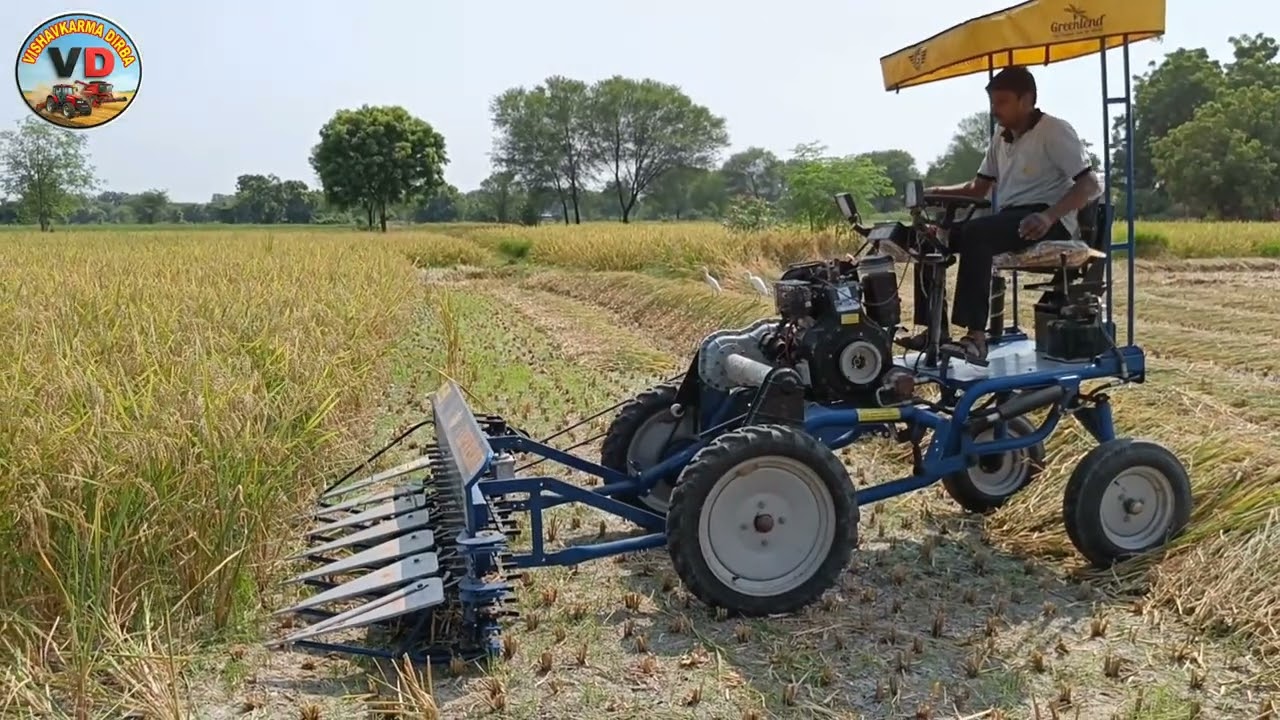 Greenland Reaper Machine 2026  || Working Video Rajsthan #Greenland #reaper #agriculture 