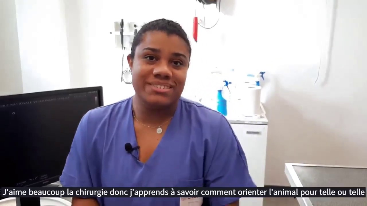 Ma vie d'auxiliaire vétérinaire #04 - La chirurgie