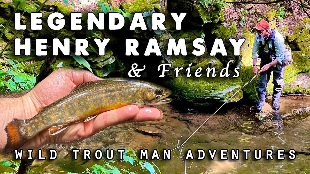 WILD Trout Fishing Strategies with Henry Ramsay & Kristi Irvin