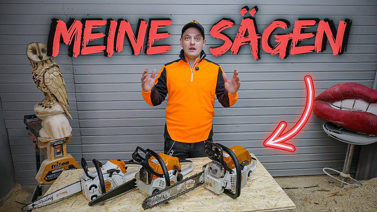 Kettensägen erklärt: Diese 3 Modelle benutze ICH zum Carving!