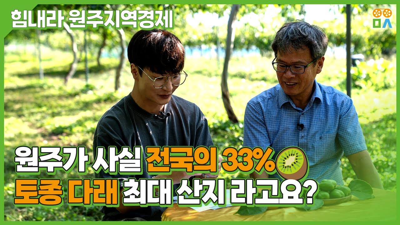 “원주가 토종 다래 1번지?” 산들다래농원에서 답 찾았습니다